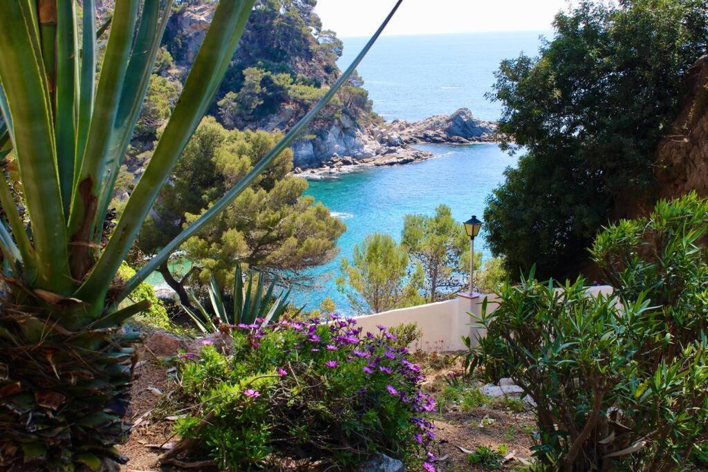 Estudio A 100M De La Playa Tossa de Mar Luaran gambar